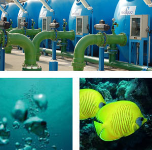 Desalaci&oacute;n de agua de mar y salobre
